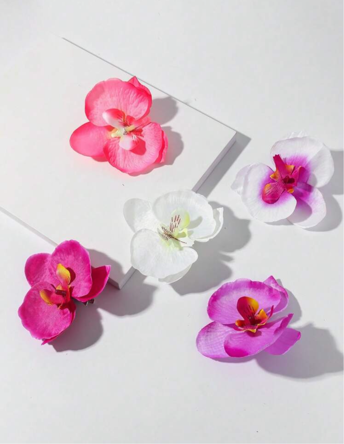 Orchidée
