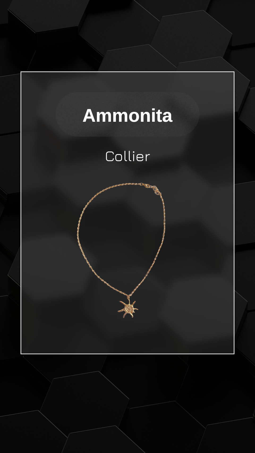 Ammonita