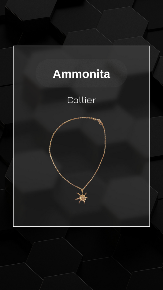 Ammonita
